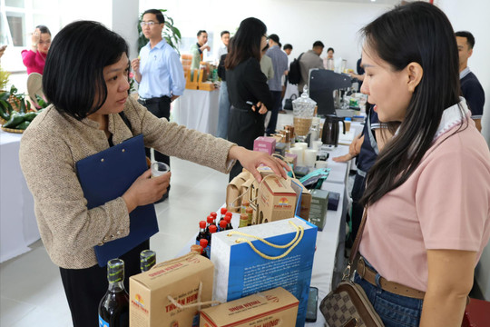 Khẳng định thương hiệu địa phương qua phát triển tài sản trí tuệ