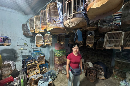 Khởi tố hai đối tượng đưa và môi giới hối lộ để nuôi nhốt động vật hoang dã tại TP.HCM