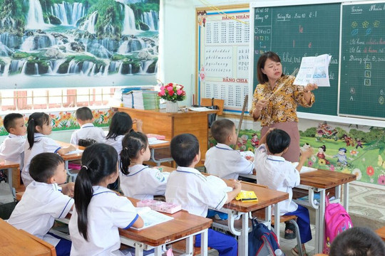 Chuyển vị trí việc làm có phải tập sự lại?
