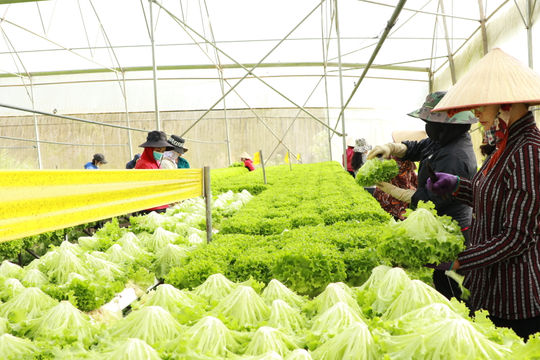 Làm chủ công nghệ để kiến tạo tương lai