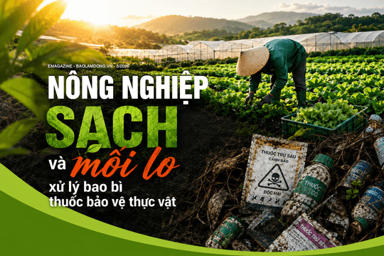 Nông nghiệp sạch và mối lo xử lý bao bì thuốc bảo vệ thực vật