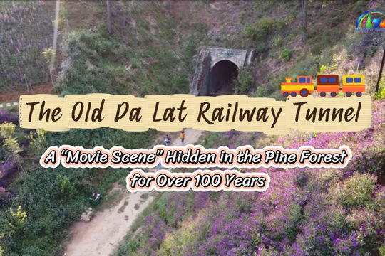 A 100-Year-Old Tunnel Hidden Deep in Da Lat’s Pine Forests
