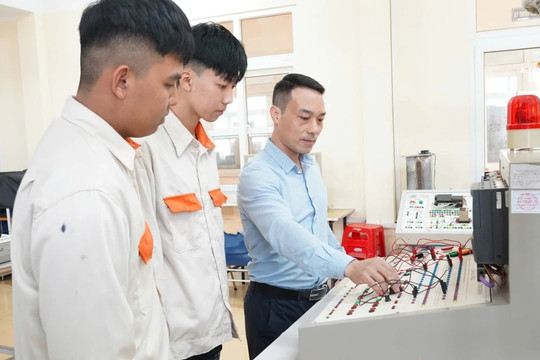 Quy định hợp đồng lao động đối với giảng viên đồng cơ hữu