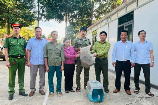 Chung tay đưa động vật hoang dã trở về môi trường tự nhiên