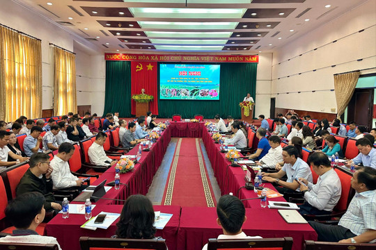 Đánh giá tiềm năng, xúc tiến, kết nối thị trường tiêu thụ nông sản tỉnh Lâm Đồng
