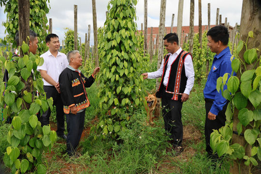 Lâm Đồng đẩy mạnh tuyên truyền 3 nhiệm vụ trọng tâm