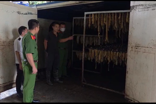 Tỉnh Bắc Ninh: Phát hiện cơ sở kinh doanh hơn 3 tấn ruột lợn bốc mùi hôi thối