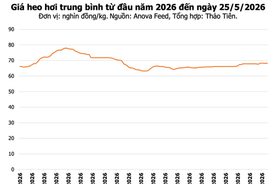 Giá heo hơi hôm nay 25/5: Thị trường đi ngang, cao nhất đạt 70.000 đồng/kg