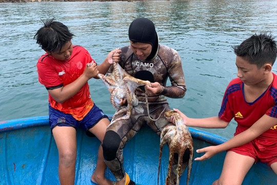 Mùa hè mưu sinh của những đứa trẻ vùng biển