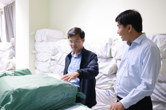 Lâm Đồng khẩn trương thống kê, di dời tài liệu lưu trữ sau sắp xếp bộ máy