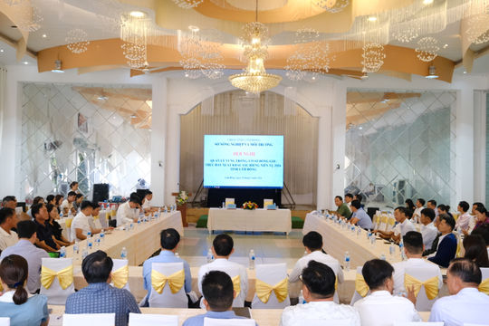 Lâm Đồng tăng cường quản lý mã số vùng trồng phục vụ xuất khẩu sầu riêng