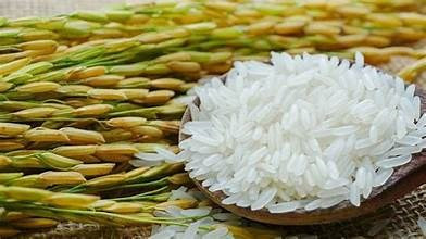Giá gạo nguyên liệu xuất khẩu giảm nhẹ, thị trường lúa gạo ngày 26/5 giao dịch chậm