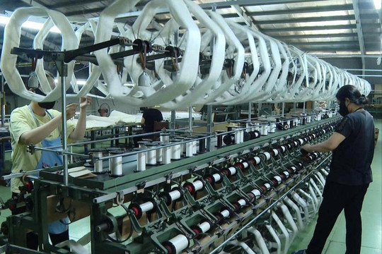Lâm Đồng giữ đà xuất khẩu để bứt tốc tăng trưởng