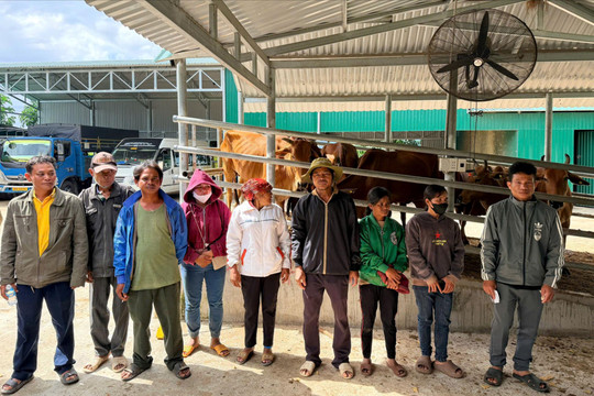 Phan Sơn đổi thay từ những mô hình giảm nghèo