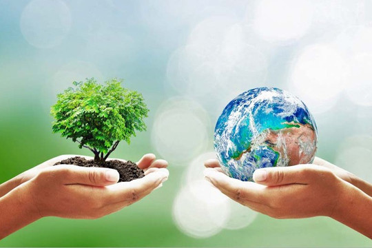 Đề xuất phân loại 3 nhóm dự án trong đánh giá tác động môi trường; đơn giản hóa giấy phép môi trường