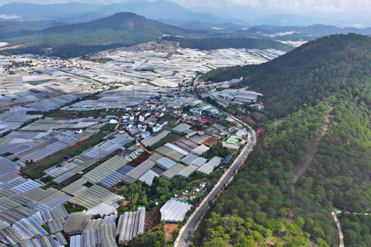 Lam Dong Strengthens Community-Based Environmental Governance