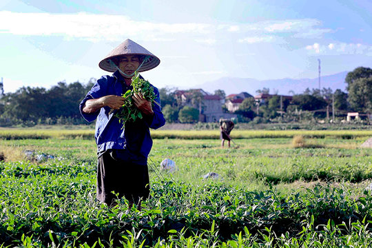 Thời tiết ngày 28/5: Bắc Bộ nắng nóng trước khi đón mưa dông, Nam Bộ mưa to cục bộ