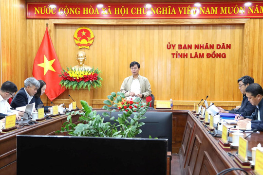 Lâm Đồng tăng tốc chỉnh trang cảnh quan cho Festival Hoa 2026