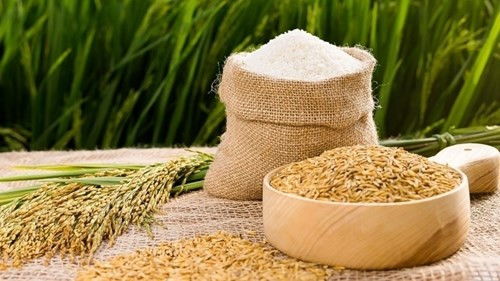 Giá lúa gạo ngày 29/5: Lúa tươi neo cao ở mức 6.700 đồng/kg, giao dịch trầm lắng