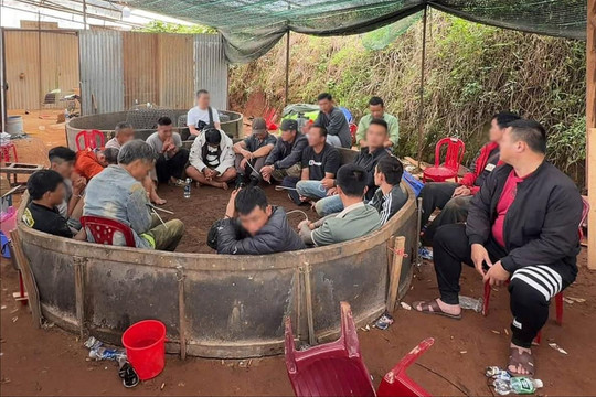 Công an Lâm Đồng bắt giữ hơn 20 đối tượng tại tụ điểm đá gà ăn tiền