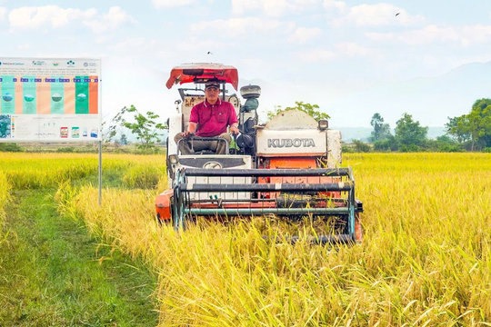 Hợp tác xã góp phần nâng cao đời sống người dân ở Bắc Bình