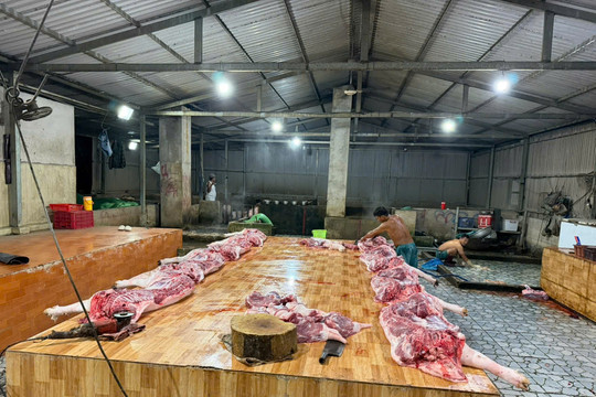 Công an tỉnh Đồng Tháp phát hiện 4 cơ sở giết mổ động vật trái phép trong đợt cao điểm