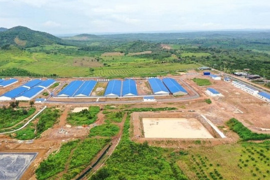 Dự án chăn nuôi có phải đánh giá tác động môi trường?