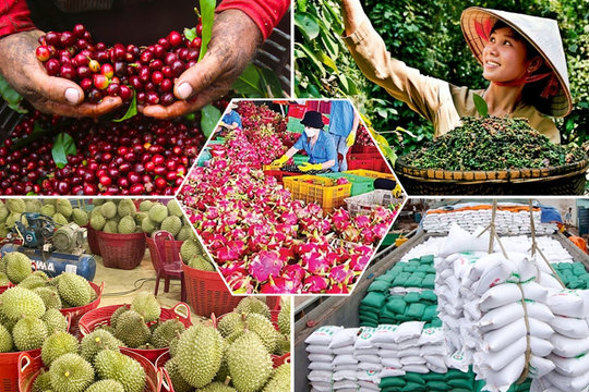 Quyết định số 26/2026/QĐ-TTg: Bộ tiêu chí và quy trình đánh giá, phân hạng sản phẩm OCOP
