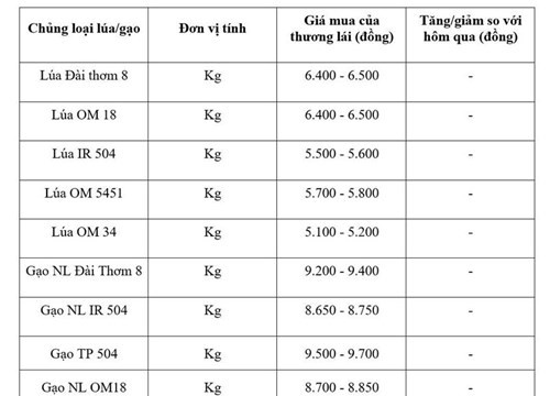 Giá lúa gạo ngày 3/6/2026: Miền Tây ổn định, giá gạo xuất khẩu Việt Nam giảm 15 USD/tấn