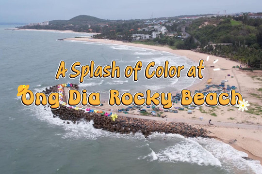 A Splash of Color at Ong Dia Rocky Beach