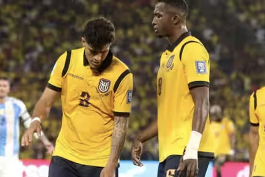 Hồ sơ Ecuador tại World Cup 2026: Hàng thủ thép và tham vọng 'ngựa ô' của Sebastian Beccacece