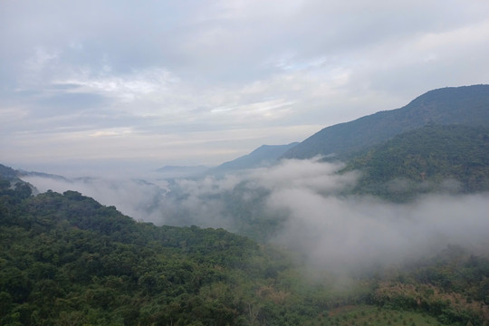 Rural Tourism Attracts Visitors During the Summer