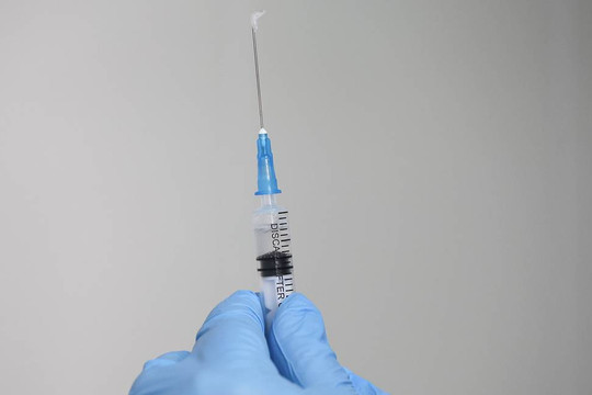Phát triển vaccine từ thực vật để kiểm soát bệnh truyền nhiễm ở gia súc