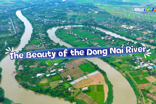 The Beauty of the Dong Nai River