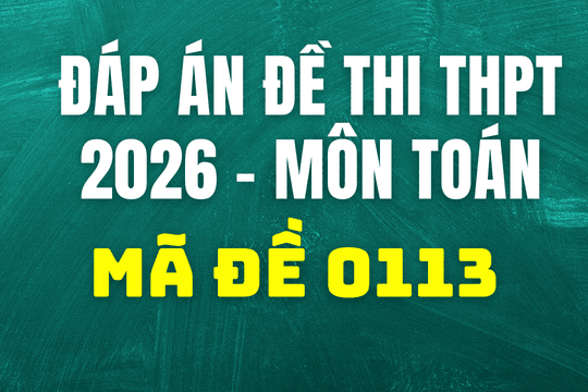Đáp án môn Toán mã đề 0113 thi tốt nghiệp THPT 2026