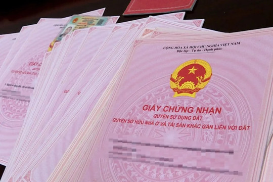Luật Đất đai 2024: Diện tích bao nhiêu thì được cấp sổ hồng?