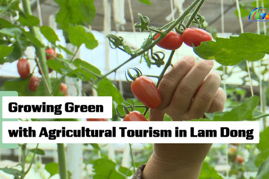 Agricultural Tourism Drives Green Growth in Lam Dong