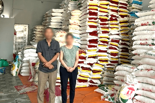Ninh Bình: Khởi tố giám đốc công ty sản xuất và buôn bán gạo giả nhãn hiệu nổi tiếng