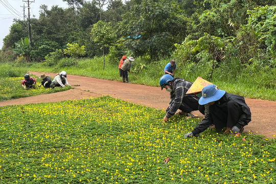 Cuộc sống mới ở Tôn K’Long