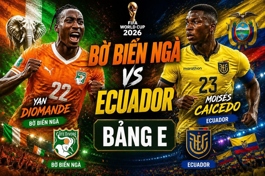 Kênh, link trực tiếp bóng đá hôm nay Bờ Biển Ngà và Ecuador tại World Cup 2026