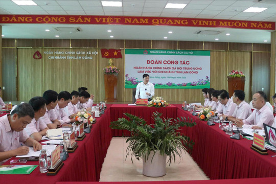 Chi nhánh Ngân hàng CSXH tỉnh Lâm Đồng được xếp loại tốt