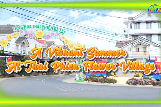 A Vibrant Summer At Thai Phien Flower Village