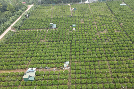 Đất mua của thôn trước 2014 có được bồi thường khi thu hồi?