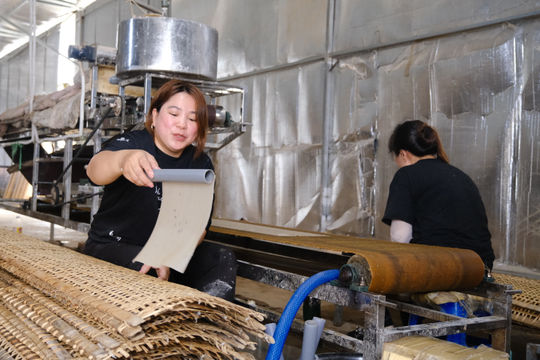 Tạo sinh kế bền vững - hướng đi mới trong giảm nghèo ở Lâm Đồng