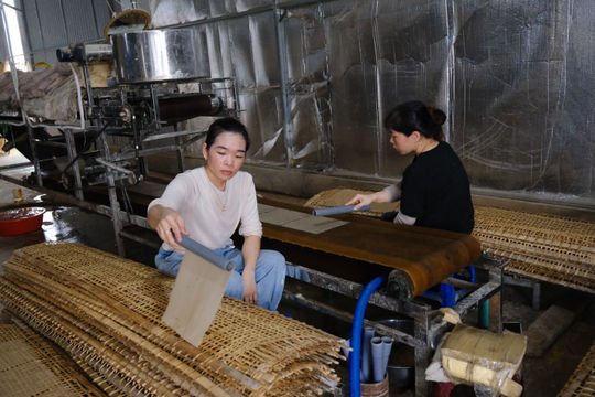 OCOP tạo giá trị mới cho bánh tráng làng Tày