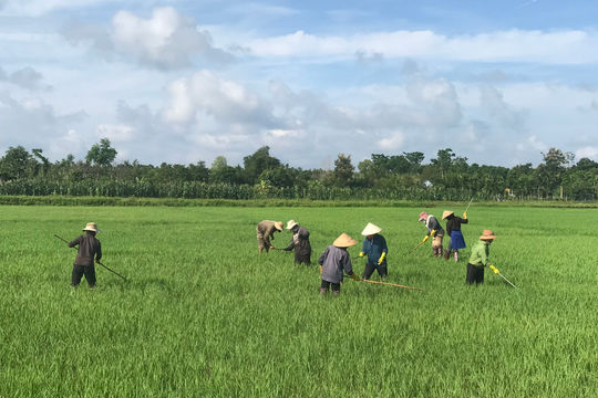Ngăn vật tư kém chất lượng vào vụ hè thu