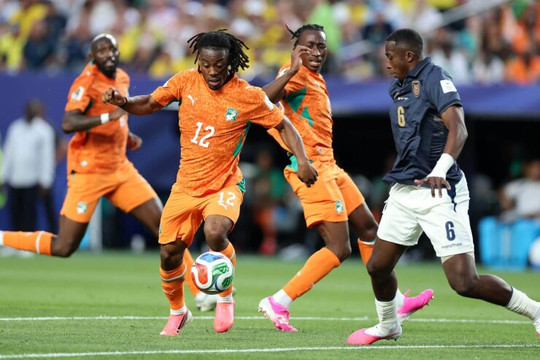 Bí ẩn vụ bắt giữ Elye Wahi: Ngôi sao Bờ Biển Ngà và bóng ma dàn xếp tỷ số tại World Cup 2026