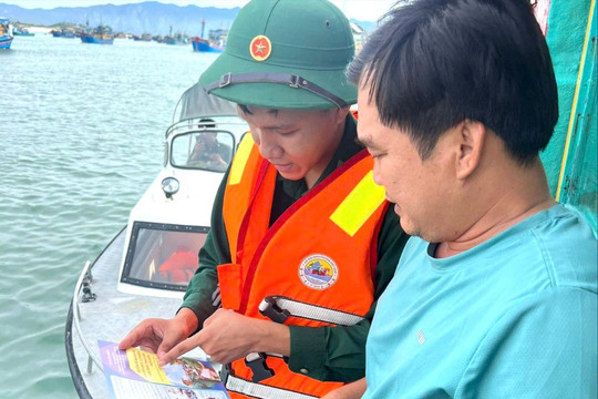 Lâm Đồng siết kiểm soát tàu cá xuất, nhập bến để ngăn vi phạm IUU
