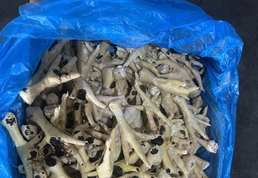 Khởi tố Giám đốc buôn lậu hơn 10.000 tấn chân gà tại TP Hà Nội