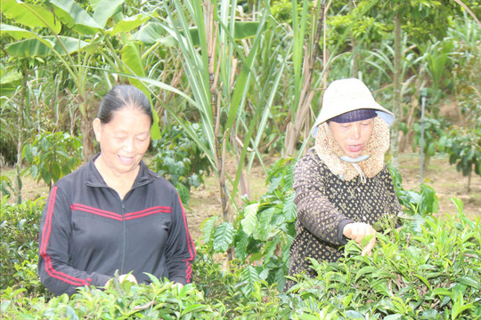 Làng Mông dưới ngọn núi Chúa